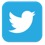 twitter-icon-300x300